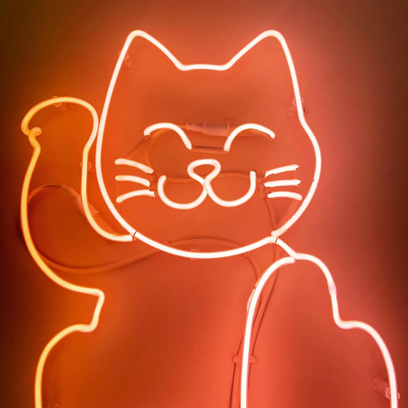 Lucky Cut gallery 12
